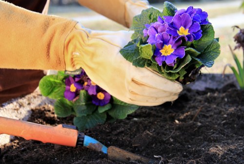 Gardener Millbank service team at work in a garden