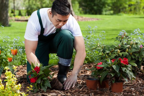 Insurance documentation and certificates for gardening company