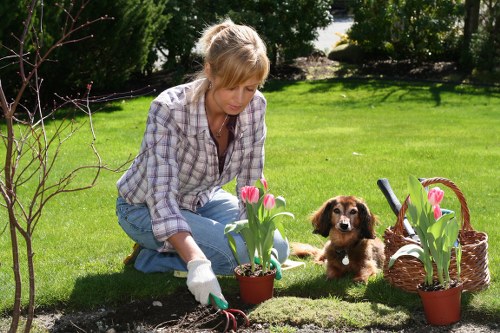 Garden maintenance team pruning and mulching a city courtyard