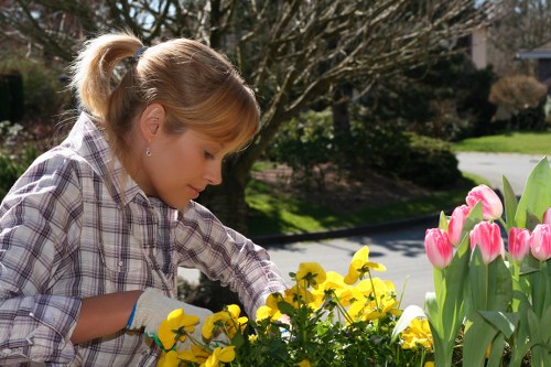 Inspector reviewing a completed garden project