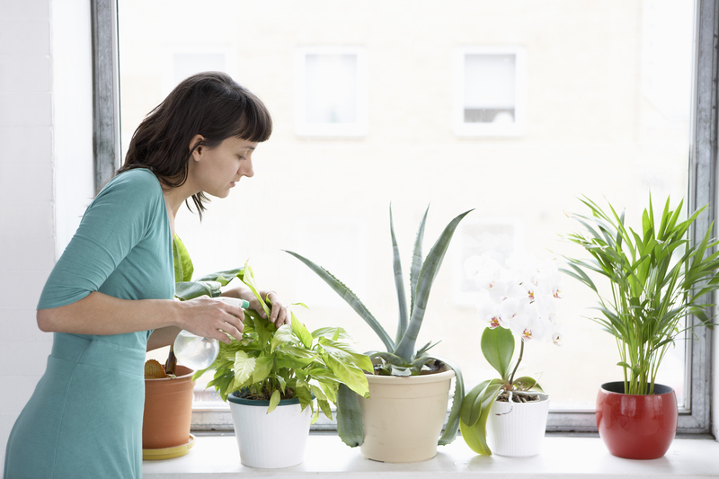 Create a Secluded Getaway Using the Best Tall Potted Greenery