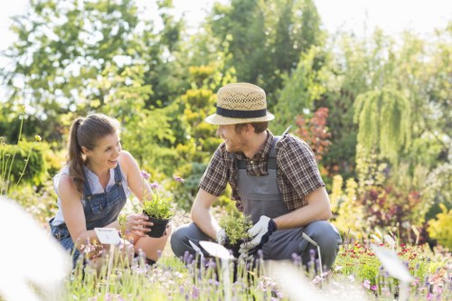 Seasonal garden preparation by Gardener Millbank